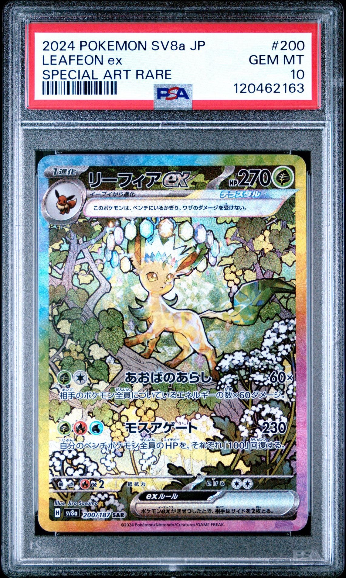 PSA 10 Sequential Terastal Festival Eeveelution SAR Komplett Set Japanisch