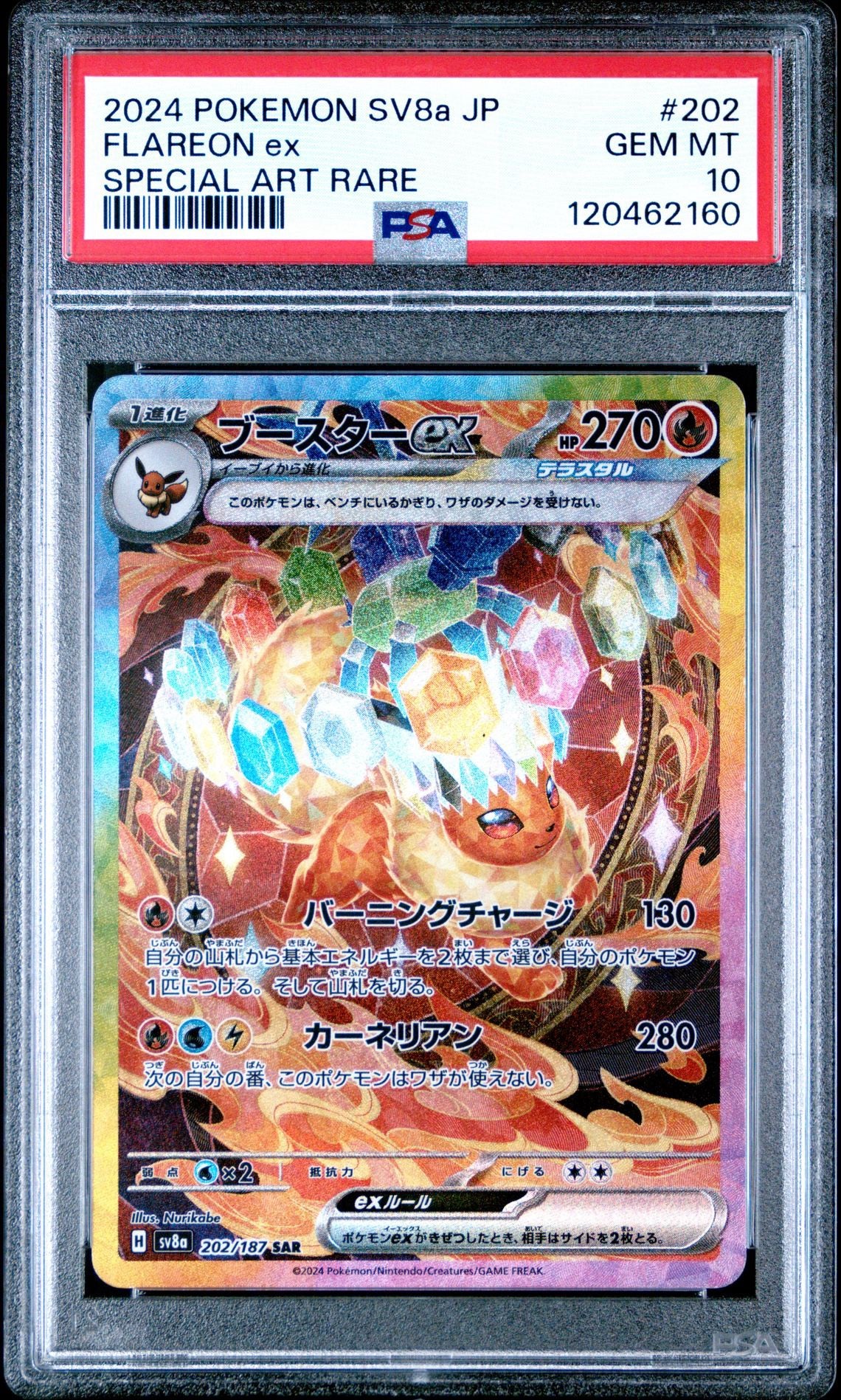 PSA 10 Sequential Terastal Festival Eeveelution SAR Komplett Set Japanisch