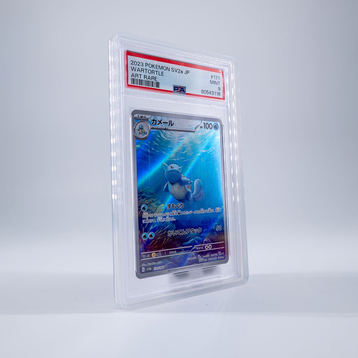Solid Bumper – PSA Slab Schutz mit Rückplatte - PokéPrinz
