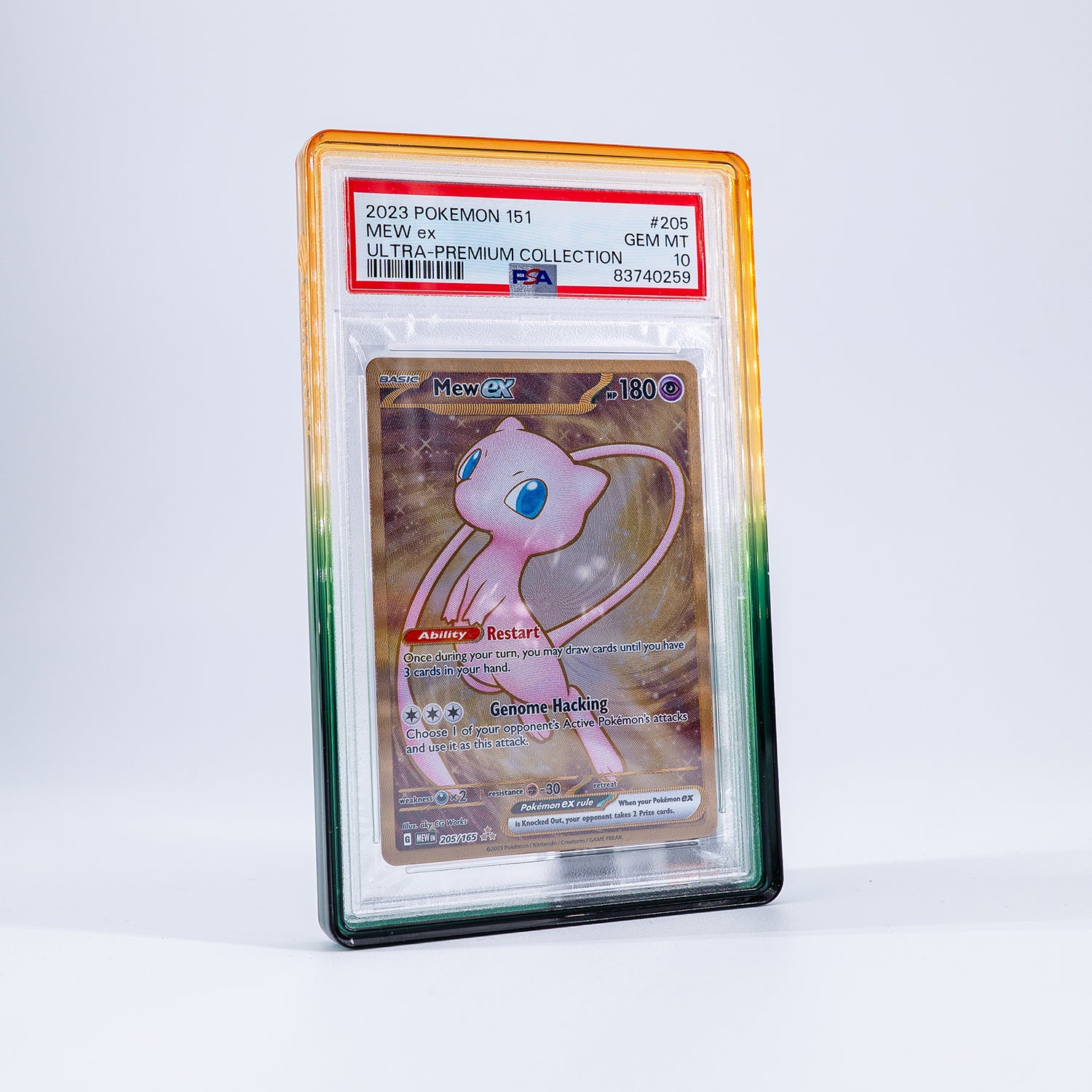 Gradient Bumper Evergreen – PSA & CGC Slab Schutz - PokéPrinz