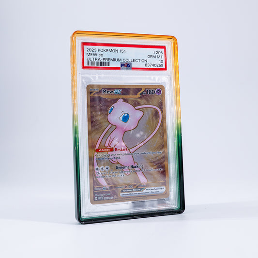 Gradient Bumper Evergreen – PSA & CGC Slab Schutz - PokéPrinz