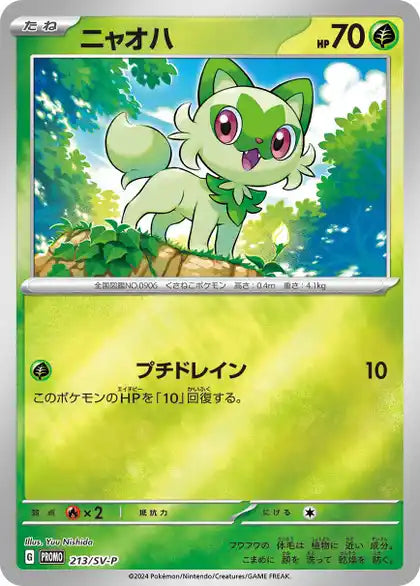 Pokémon Summer Is Here Promo Booster Pack 2024 - japanisch - PokéPrinz